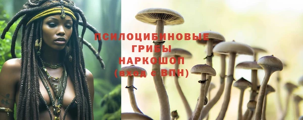 гидропоника Россошь