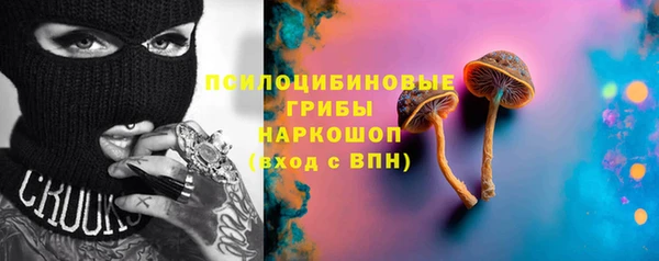 стаф Ростов