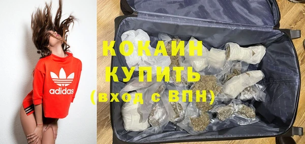 стаф Ростов